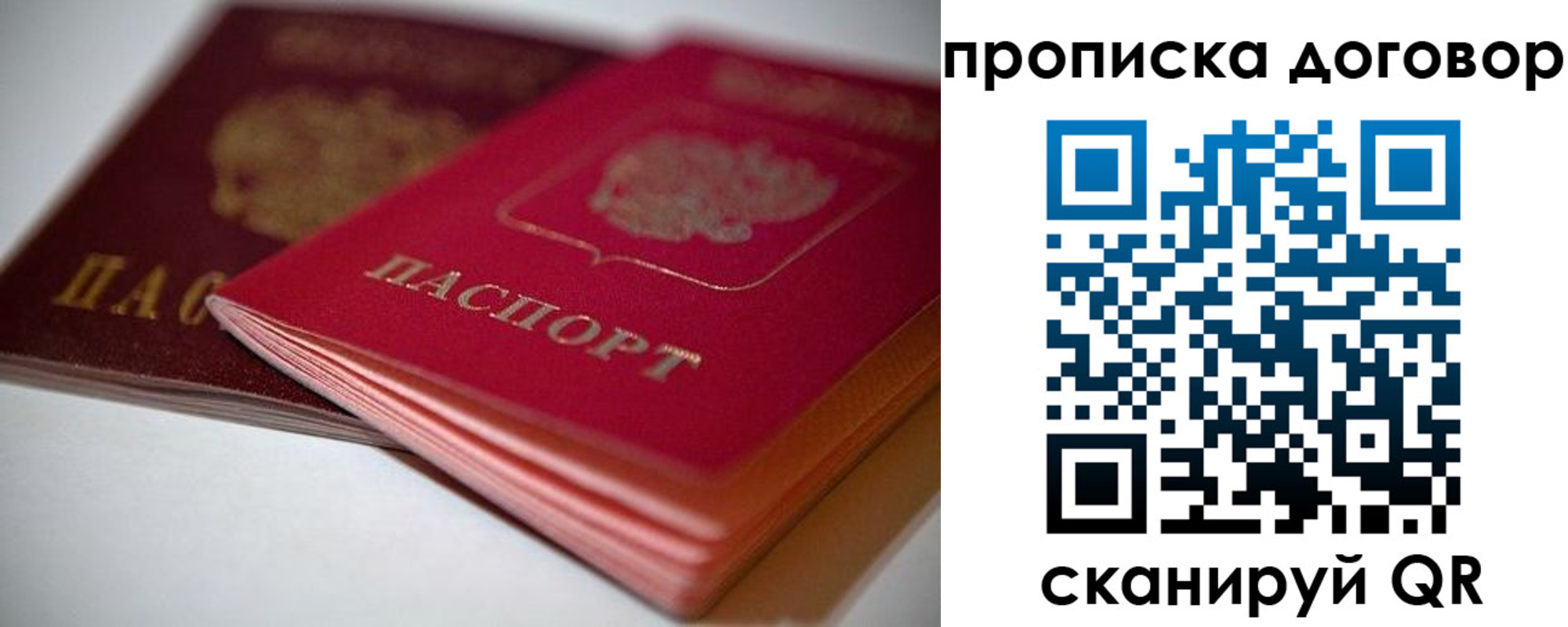 прописка 2025 в Волгограде